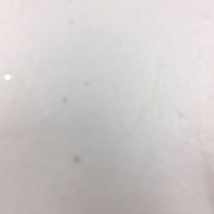 Meet your Posher, Lavaughnn